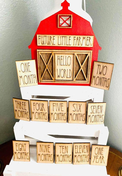 14 Piece Red Barn Themed Interchangeable Baby Milestones